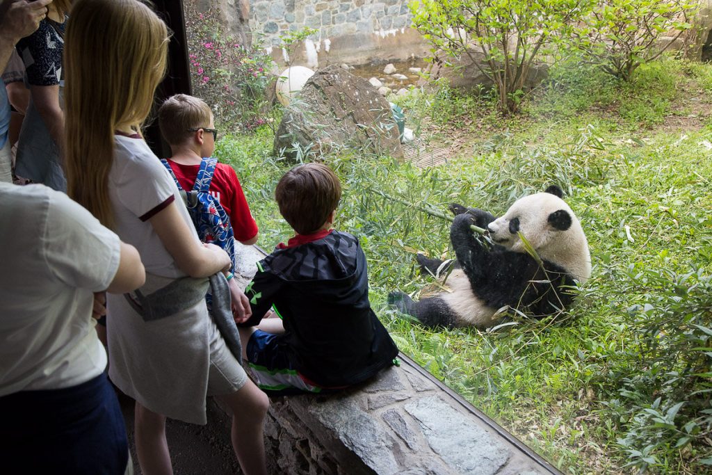 Vister le National Zoo de Washington DC