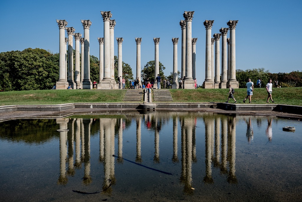 Les colonnes de l'arboretum